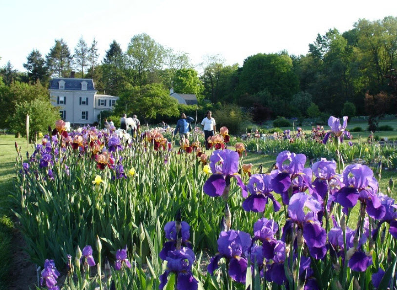 Presby Iris Gardens, United States